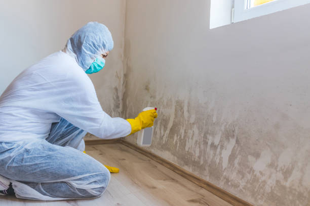 Mold inspector in Mantoloking performing thermal imaging