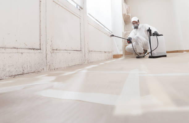 Black mold remediation team in Mantoloking